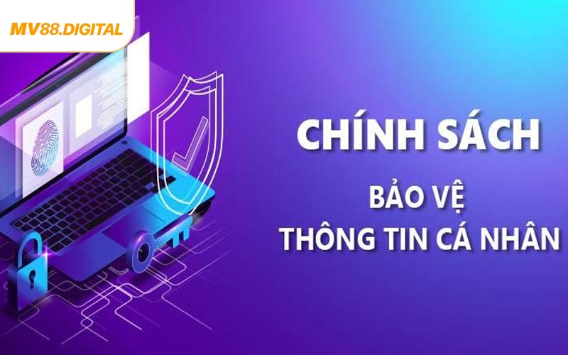Cụ thể về việc thu thập thông tin trong chính sách bảo mật