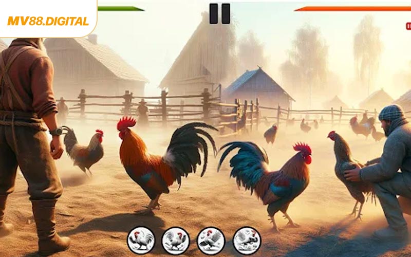 Mẹo hay giúp bạn thắng to khi chơi đá gà MV88