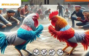 Đá Gà MV88 - Trải Nghiệm Đỉnh Cao Cho Tín Đồ Cá Cược