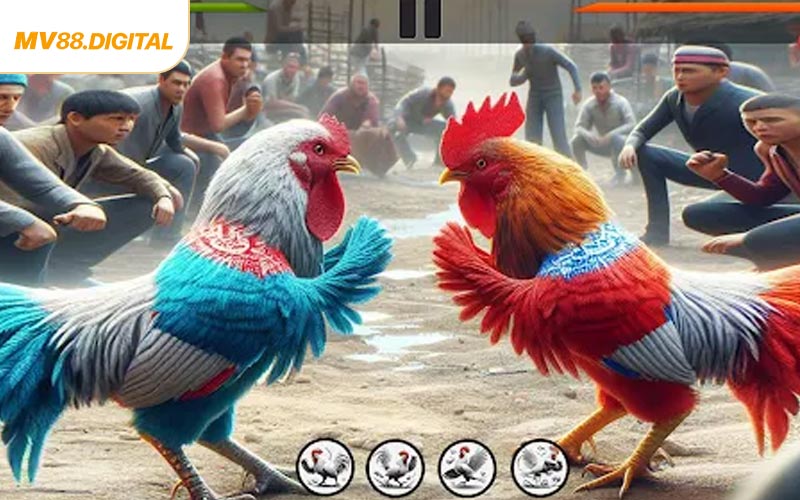 Đá Gà MV88 - Trải Nghiệm Đỉnh Cao Cho Tín Đồ Cá Cược
